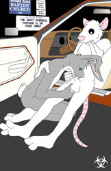 anthro ass balls biohazard_(artist) biohazard_symbol bob_(biohazard) car cheek_tuft church duo english_text erection fellatio floppy_ears fur furry grey_fur hair_tuft half-closed_eyes hindpaw kneeling lagomorph looking_down male male_only mammal moshe_(biohazard) multiple_males oral outside paws penis rabbit rat road rodent sex sitting text tuft whiskers white_fur yaoi