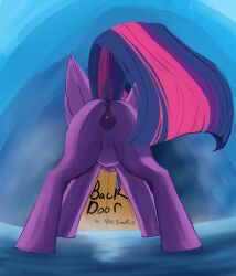 absurd_res animal_genitalia animal_vulva anus butt clitoris door equid equine equine_genitalia equine_vulva female feral friendship_is_magic genitals hasbro hi_res horn mammal my_little_pony mythological_creature mythological_equine mythology puffy_anus solo twilight_sparkle_(mlp) veesocks vulva winged_unicorn wings