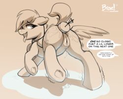 fan character from my little pony by braeburned