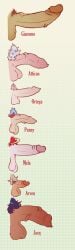 arven_(pokemon) atticus_(pokemon) dick_chart futanari giacomo_(pokemon) jacq_(pokemon) mela_(pokemon) ortega_(pokemon) penis penis_size_chart penis_size_comparison penis_size_difference penny_(pokemon) pokemon shitpost