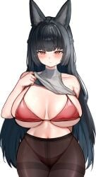 1girl :t absurdres animal_ears arm_behind_back bare_shoulders bikini black_hair blunt_bangs blush braid breasts closed_mouth clothes_lift collarbone comically_large_ears eyelashes fox_ears fox_girl highres hoshimi_miyabi large_breasts long_hair looking_at_viewer mihoyo navel no_pants pantyhose pingun red_bikini red_eyes shirt_lift side_braid sidelocks solo straight-on sweat swimsuit white_background zenless_zone_zero