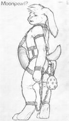 1boy a_link_to_the_past anal_insertion anthro balls buttplug furry furry_only gay link link_(rabbit_form) male male_only mot penis solo tagme the_legend_of_zelda