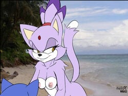 anthro areola aval0nx beach blaze_the_cat breasts erect_nipples feline female hedgehog imminent_sex male naked nipples nude outside sea seaside sega smile sonic_(series) sonic_the_hedgehog two_tone_hair water yellow_eyes