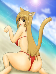 animal_ear ass bikini blush cat_planet_cuties eris_(cat_planet_cuties) fuuma_nagi huge_ass sitting smile swimsuit tail