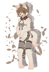 anthro balls blush bow brown_eyes brown_hair canine choker claws clothing collar crossdressing foreskin garter_belt girly hair kosian leggings legwear lingerie looking_at_viewer male mammal open_mouth penis precum ribbons solo tongue tongue_out vein