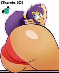 shantae (character) from shantae by ecuatorian 2003