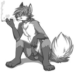 2015 animal_genitalia bulge canine canine_penis cigarette clothed clothing collar ear_piercing greyscale half-dressed keihound knot looking_at_viewer male male_only mammal monochrome penis piercing smoking solo topless