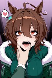agnes tachyon (umamusume) from umamusume