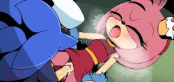 amy rose from sega by notbuckhori