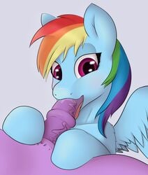 booponies equine fellatio female friendship_is_magic futanari horse intersex mammal my_little_pony oral pony rainbow_dash_(mlp) sex straight_hair twilight_sparkle_(mlp)