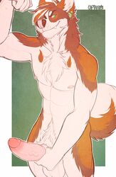 anthro balls bawnii canine erection fur husky looking_at_viewer male male_only mammal nipples nude penis piercing vein