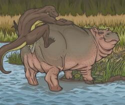 absurd_res anthro anthro_on_feral anthro_penetrating anthro_penetrating_feral anus ass balls biped bodily_fluids brown_body brown_skin claws common_hippopotamus cum cum_in_pussy cum_inside detailed_background digital_media_(artwork) duo erection female female_on_anthro female_penetrated feral feral_penetrated from_behind_position genital_fluids genitals grass grey_body half-closed_eyes hi_res hippopotamid interspecies lake larger_female larger_feral larger_penetrated lizard looking_back male male/female male_on_feral male_penetrating male_penetrating_female male_penetrating_feral mammal musorok narrowed_eyes nature nude open_mouth orgasm outside partially_submerged penetration penile penile_penetration penis penis_in_pussy perching_position plant pussy quadruped reptile river scales scalie sex size_difference small_dom_big_sub smaller_anthro smaller_male smile teeth vaginal_penetration vaginal_penetration water yellow_body yellow_scales zoophilia