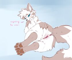absurd_res anus ass blush_face cloud_(cosmic_adventure) domestic_cat epaoh felid feline felis female feral genitals hi_res mammal paws pussy solo white_body