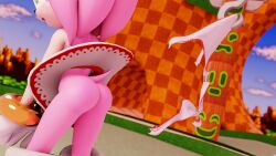 3d amy_rose ass ass_focus bare_ass bare_legs buttocks defreemanlol dress eyelashes female furry green_eyes green_hill_zone hedgehog hook humanoid legs long_eyelashes mammal medium_hair panties petite pink_fur pink_hair pulling_panties sega sonic_(series) sonic_the_hedgehog_(series) teen teen_girl teenage teenage_girl teenager torn_clothing torn_panties torn_underwear torned_clothes wedgie white_panties young