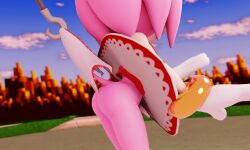 3d amy_rose ass ass_focus bare_ass bare_legs buttocks defreemanlol dress eyelashes female furry green_eyes green_hill_zone hedgehog hook humanoid legs long_eyelashes mammal medium_hair panties petite pink_fur pink_hair pulling_panties sega sonic_(series) sonic_the_hedgehog_(series) teen teen_girl teenage teenage_girl teenager torn_clothing torn_panties torn_underwear torned_clothes wedgie white_panties young