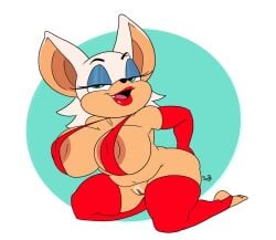 1girls big_breasts female furry rouge_the_bat smutandbutts sonic_(series)