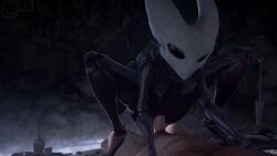 3d animated anthro big_breasts big_penis cowgirl_position furry hollow_knight hollow_knight_x_humans hornet_(hollow_knight) human insects meklab sound tagme vaginal_penetration video