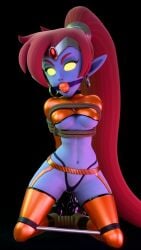 arms_behind_back ball_gag bondage bound crop_top earrings gag gagged garter_belt garter_straps high_heels kneeling latex latex_clothing latex_suit looking_at_viewer midriff nega-shantae nonexister panties pointy_ears ponytail revealing_clothes rope rope_bondage shantae shantae_(character) smile spreader_bar stockings string_panties thighhighs tiara tied_up underboob wayforward wet wet_skin