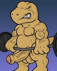 absurd_res agumon anthro balls bandai_namco digimon digimon_(species) erection exercise genitals hi_res kogo male muscular muscular_male solo weightlifting weights workout