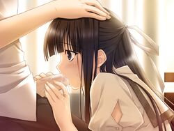 black_hair blush faceless_male fellatio female game_cg hair_ribbon hand_on_head kasugano_haruka long_hair migiwa_kazuha oral penis profile purple_eyes ribbon school_uniform solo_focus suzuhira_hiro uncensored yosuga_no_sora