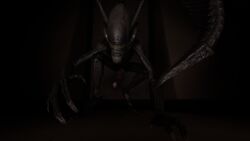 1boy 3d alien alien_(franchise) all_fours big_hands big_head big_penis big_tail black_skin claws erection feet looking_at_viewer male male_only male_xenomorph no_eyes penis precum presenting solo source_filmmaker source_request squidink tail teeth xenomorph