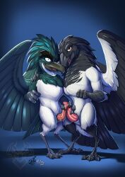 anthro avian beak bird claws duo erection frottage genitals hi_res jackrow jackrow_(character) looking_at_viewer male male/male mcfan open_mouth open_smile penile penis pluvian sex smile standing tapering_penis wings