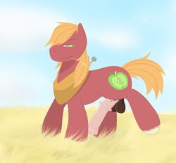 animal_genitalia balls big_macintosh_(mlp) cutie_mark earth_pony equine feral friendship_is_magic fur grass hair horse horsecock male male_only mammal my_little_pony penis pony solo thatdoodlingpony