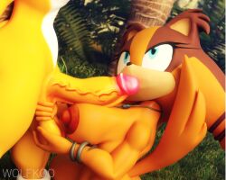 5:4 blowjob breasts breasts_out erection grabbing_testicles hi_res looking_up miles_prower nude nude_female nude_male outside penis png pulling_testicles sega sonic_(series) sonic_boom sonic_the_hedgehog_(series) sticks_the_badger tail wolfkoo