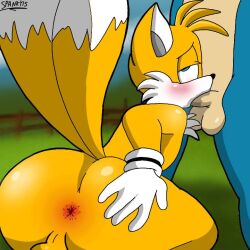 2boys anthro anthro_on_anthro anthro_only ass asshole balls blowjob fellatio fox furry furry_only gay gay_sex male/male no_humans on_knees penis sonic_(series) sonic_the_hedgehog sonic_the_hedgehog_(series) spanky15 tails tails_the_fox