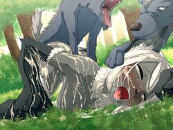 ahe_gao canines cat_ears cum_on_body gold_eyes grey_skin open_mouth white_hair wolf