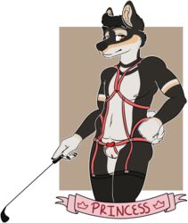 2015 anthro artie birdsmooch bondage brown_eyes canine clothing cuntboy fur hair harness heart intersex legwear male mammal nipples nude riding_crop stockings