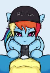 2015 2tipsie4me animal_genitalia equine erection fellatio female feral friendship_is_magic horsecock hot_headed_clover male mammal my_little_pony oral pegasus penis pubes rainbow_dash_(mlp) sex wings wonderbolts_(mlp)