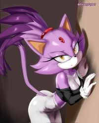 blaze the cat from sega by soranygy