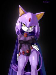 blaze the cat from dc by soranygy