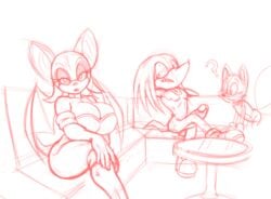 ? anthro balls bar big_breasts breasts canine cleavage clothed clothing echidna erection female fox funny knuckles_the_echidna male mammal monotreme penis rouge_the_bat sonic_(series) sonic_x tails teer wings