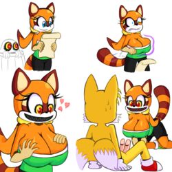 anthro big_breasts boo_(sonic) breast_expansion breasts canine clothing fox fur interspecies kneeling mammal marine_the_raccoon multiple_penises multiple_tails nude penis possession raccoon sitting sonic_(series) standing tail tails