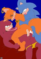Sonic (Series) Rule 34 Image