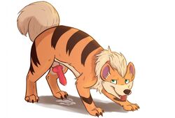 all_fours arcanine barefoot canine claws cum cum_on_ground cum_on_penis erection feral fur knot looking_up male_only mammal nintendo nude orgasm penis pokemon pokemon_(species) sharp_claws smile smuttymutt standing toe_claws tongue tongue_out video_games