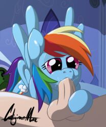 69 anon balls caliginousmane equine erection fellatio female feral friendship_is_magic human male mammal my_little_pony oral pegasus penis rainbow_dash_(mlp) sex wings