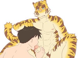 2boys anthro big_muscles big_penis blue_eyes feline fur hiroyuki human interspecies licking male mammal morenatsu multiple_boys muscles nude penis plain_background pubes tiger tongue tongue_out torahiko_ooshima yaoi