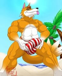 1boy abs animal_crossing anthro ball_grab balls barazoku beach biceps big_balls big_penis bulge canine chief_(animal_crossing) clothed clothing fur furry furry_only hair half-dressed hungothenomster male male_only mammal manly muscles navel nintendo outside pecs penis seaside sharp_teeth smile solo speedo spread_legs spreading swimsuit teeth thick_thighs tongue tongue_out video_games wolf