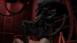 16:9 2_mouths 3d_(artwork) alien alien_(franchise) alien_humanoid black_body breasts duo erection faceless_human faceless_male facesitting female female_xenomorph genitals glistening glistening_body hi_res human humanoid male mammal multi_mouth nipples penis source_filmmaker straight teknotyk widescreen xenomorph