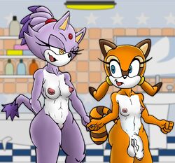 1futa anthro blaze_the_cat breasts concubine cub damian_hodge dickgirl duo flat_chested futanari humanoid_penis imminent_milking imminent_sex intersex marine_the_raccoon orgasm penis personal_grooming plain_background princess royal royalty sonic_(series) uncut wide_hips