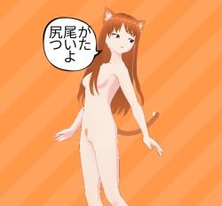 1girls animal_ears animal_tail anime_style breasts cat_ears cat_girl cat_tail catgirl ear female female_only happy happy_female japanese_language japanese_text kittymeow_lila light-skinned_female light_skin lila_(kittymeow_lila) long_hair looking_at_tail looking_back looking_down naked naked_female nipples nude nude_female open_mouth orange_background orange_cat orange_hair original purple_eyes pussy pussy_hair small_breasts solo solo_female tail