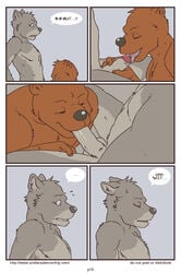 anthro artdecade bear bed bedroom big_muscles canine comic english_text erection gay grizzly_bear male male/male male_only mammal muscles penis retracted_foreskin text uncut wolf yaoi