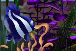 aquarium deb disney female feral finding_nemo findingdeb fish marine pixar tentacle water