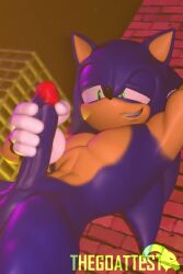 Sonic (Series) Rule 34 Video