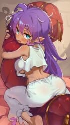 shantae (character) from shantae by life is pi