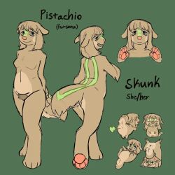 pistachio (tanrecci) fan art