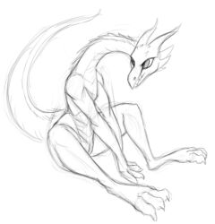 3_toes anthro black_and_white claws dragon feet female full-length_portrait horn long_neck long_tail looking_away monochrome nude portrait pussy scalie simple_background sitting sketch solo toes w4g4 western_dragon white_background wide_hips